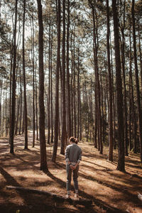 Rear view of man standing by trees in forest