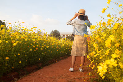 Rear view of woman standing amidst yellow flowering plants on field