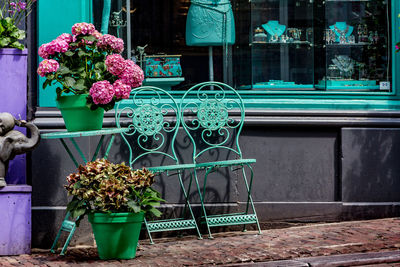 Potted plants outside store