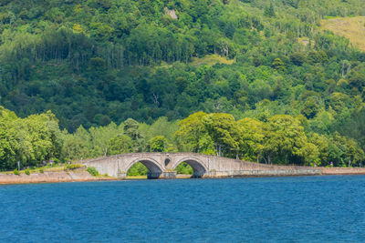 Arch bridge over river in forest