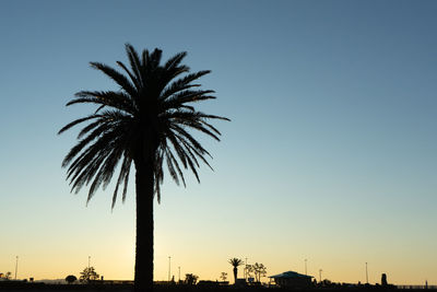 Enoshima is a typical tourist destination of shonan. i shot a coconut  sunrise in this place.