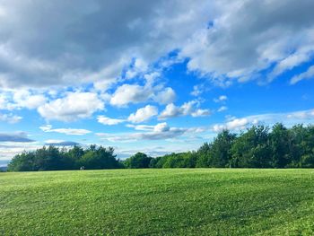 Scenic view of field against sky