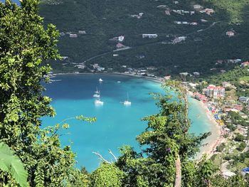 High angle view of trees by sea