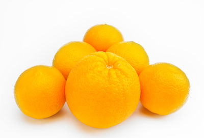 Close-up of orange fruit against white background