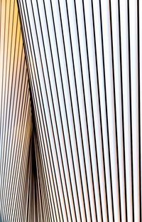 Full frame shot of abstract pattern