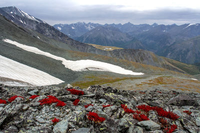 Scenic view of snowcapped mountains against sky