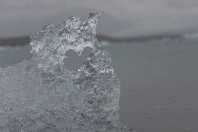 Close-up of frozen water on land