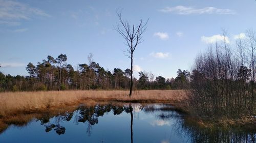 Scenic view of lake against sky