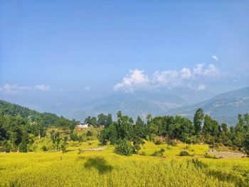 Scenic view of field against sky