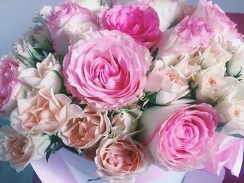 Close-up of pink roses