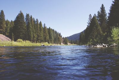 A river runs through it