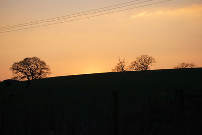 Silhouette trees on field against sky during sunset