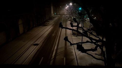 Silhouette men in illuminated city at night