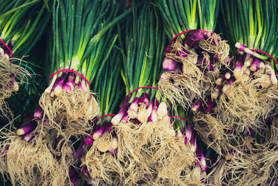 Full frame shot of scallions for sale at market