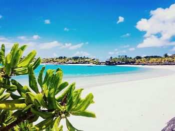 View of beach against sky