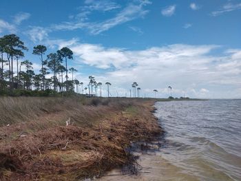 Scenic view of river against sky