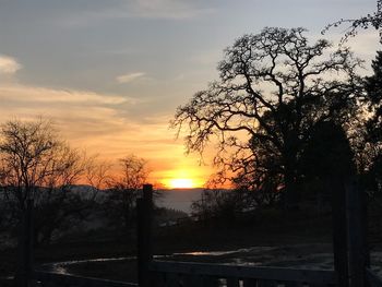 Silhouette trees on landscape against sky at sunset