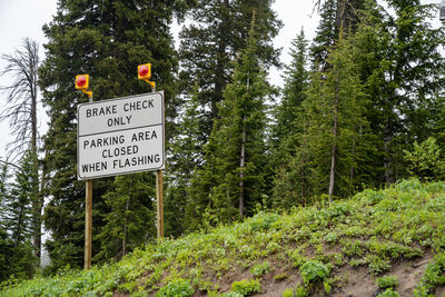 Low angle view of information sign on trees in forest