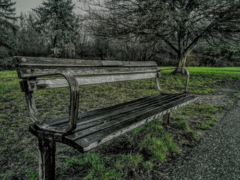 Empty bench on grassy field