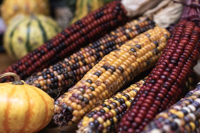 Close-up of pumpkins and dry corns 