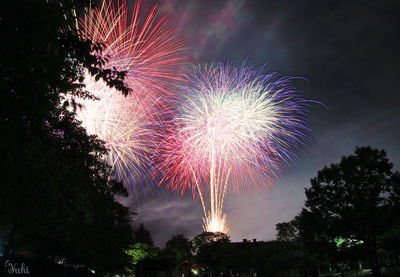 Low angle view of firework display at night