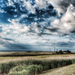 Scenic view of field against cloudy sky