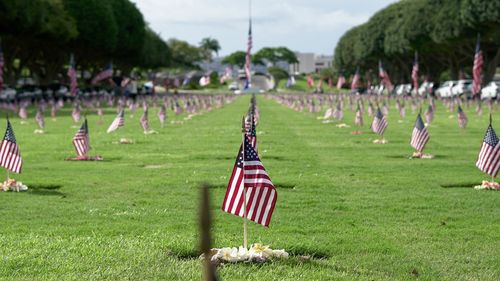 Row of flags on field