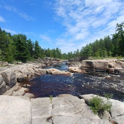 Scenic view of rocks in forest against sky