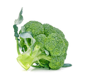 Close-up of green leaf against white background