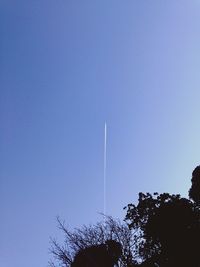 Low angle view of tree against clear blue sky