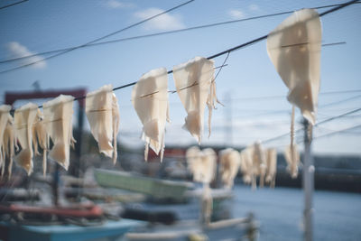 Clothes drying on rope against sea