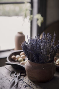 Dried lavender flowers in pot