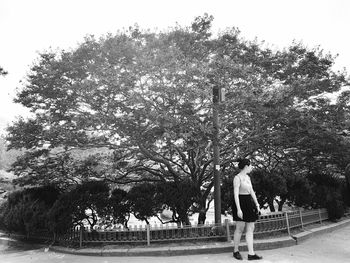 Rear view of young woman standing by tree against sky