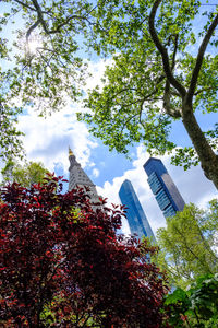 Low angle view of trees and buildings against sky