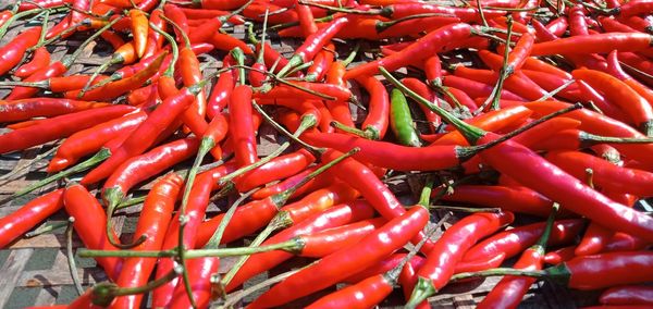 Dried thai red chili