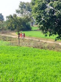 People on field against trees