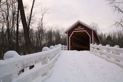 Snow covered trees in winter