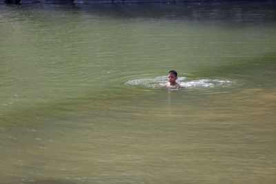 High angle view of man swimming in lake