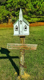 Close-up of green grass on field