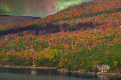 autumn