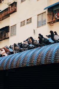 Group of people on built structure