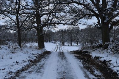 Road amidst trees against sky during winter