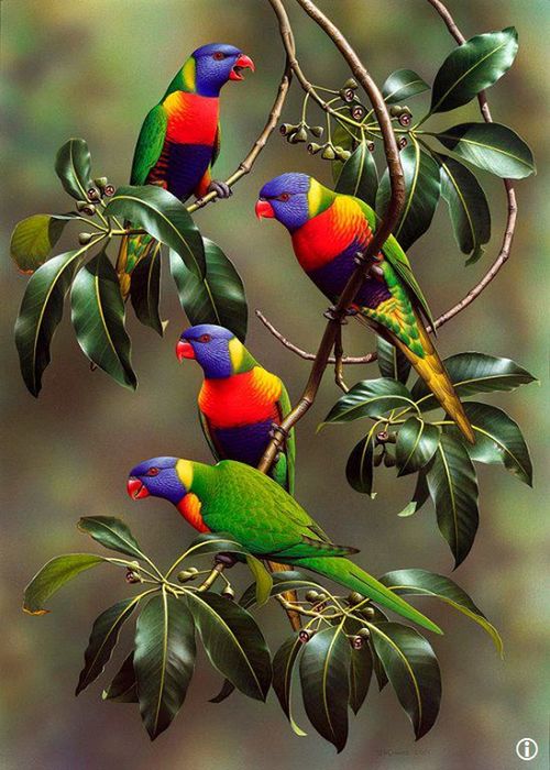 BIRD PERCHING ON BRANCH