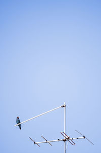 Low angle view of bird perching on antenna against clear sky
