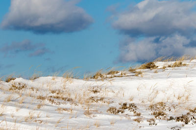 Snow covered land against sky