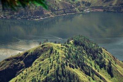 High angle view of trees on landscape