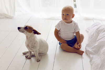 Child boy in a white t-shirt and shorts sit at home by the window with dog