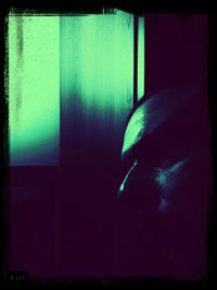 Close-up of tree against blue sky