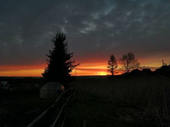 Silhouette trees on field against sky during sunset