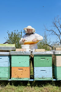 Beekeeper removing beeswax from honeycomb in container at farm